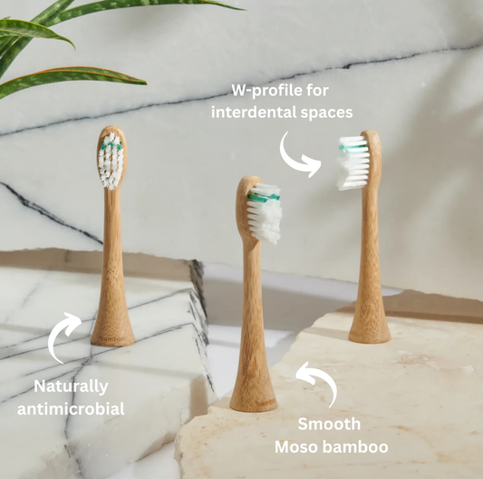 Medium Bamboo Head