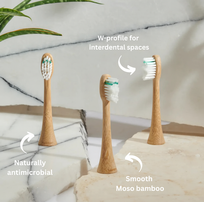 Medium Bamboo Head